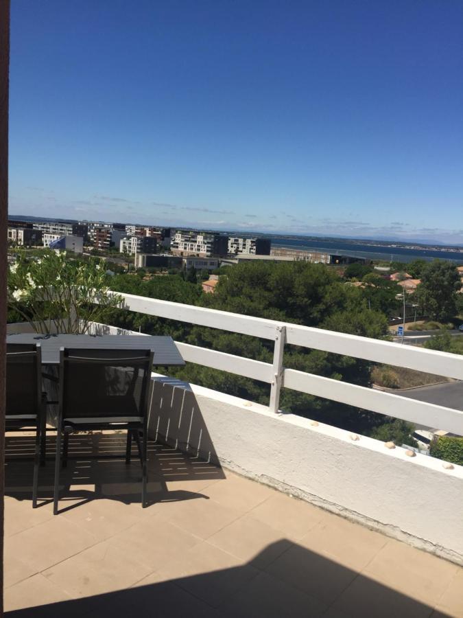 Face A La Mer Avec Piscine A 세테 외부 사진